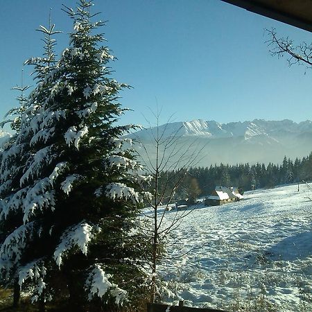 Hotel Panorama Tatr Zakopane Exteriér fotografie
