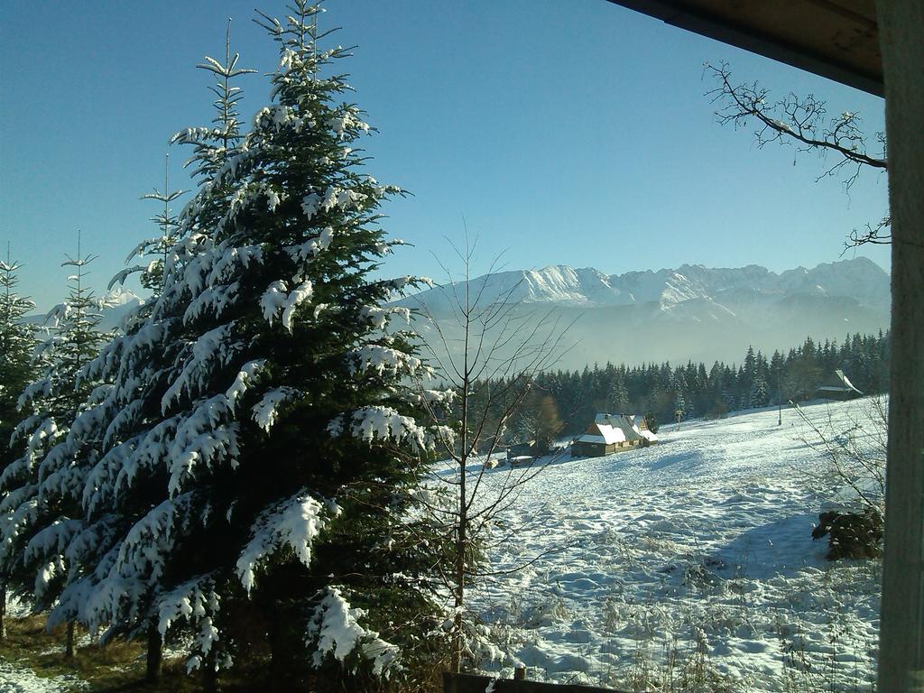 Hotel Panorama Tatr Zakopane Exteriér fotografie