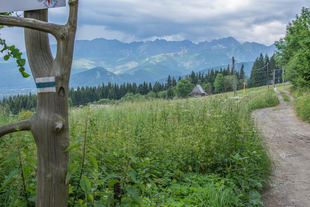 Hotel Panorama Tatr Zakopane Exteriér fotografie